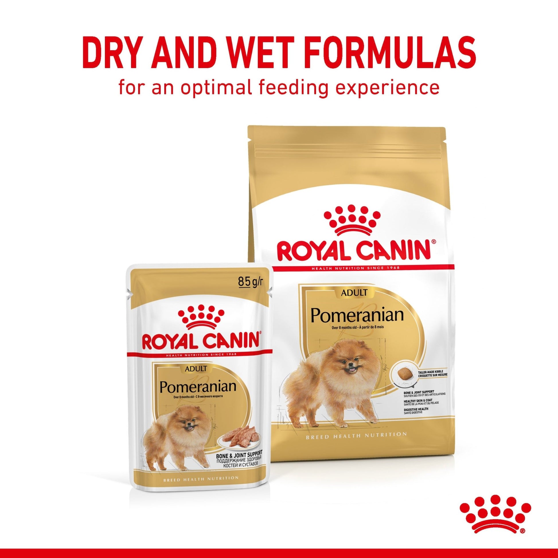 Royal Canin Pomeranian Wet Dog Food - PetPost Australia