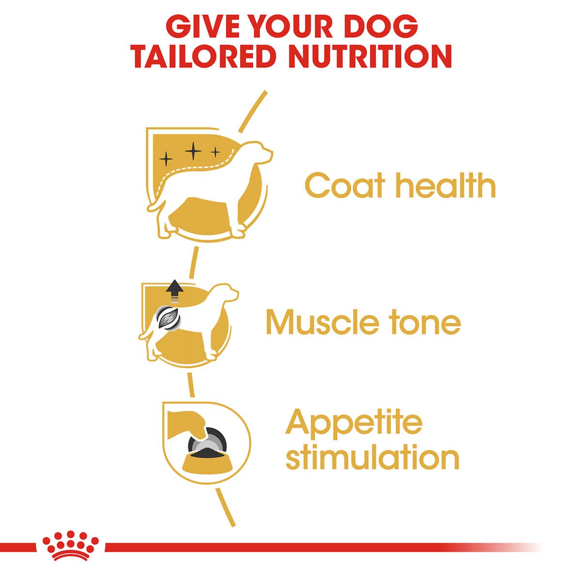 Royal Canin Poodle Adult Wet Dog Food - PetPost Australia