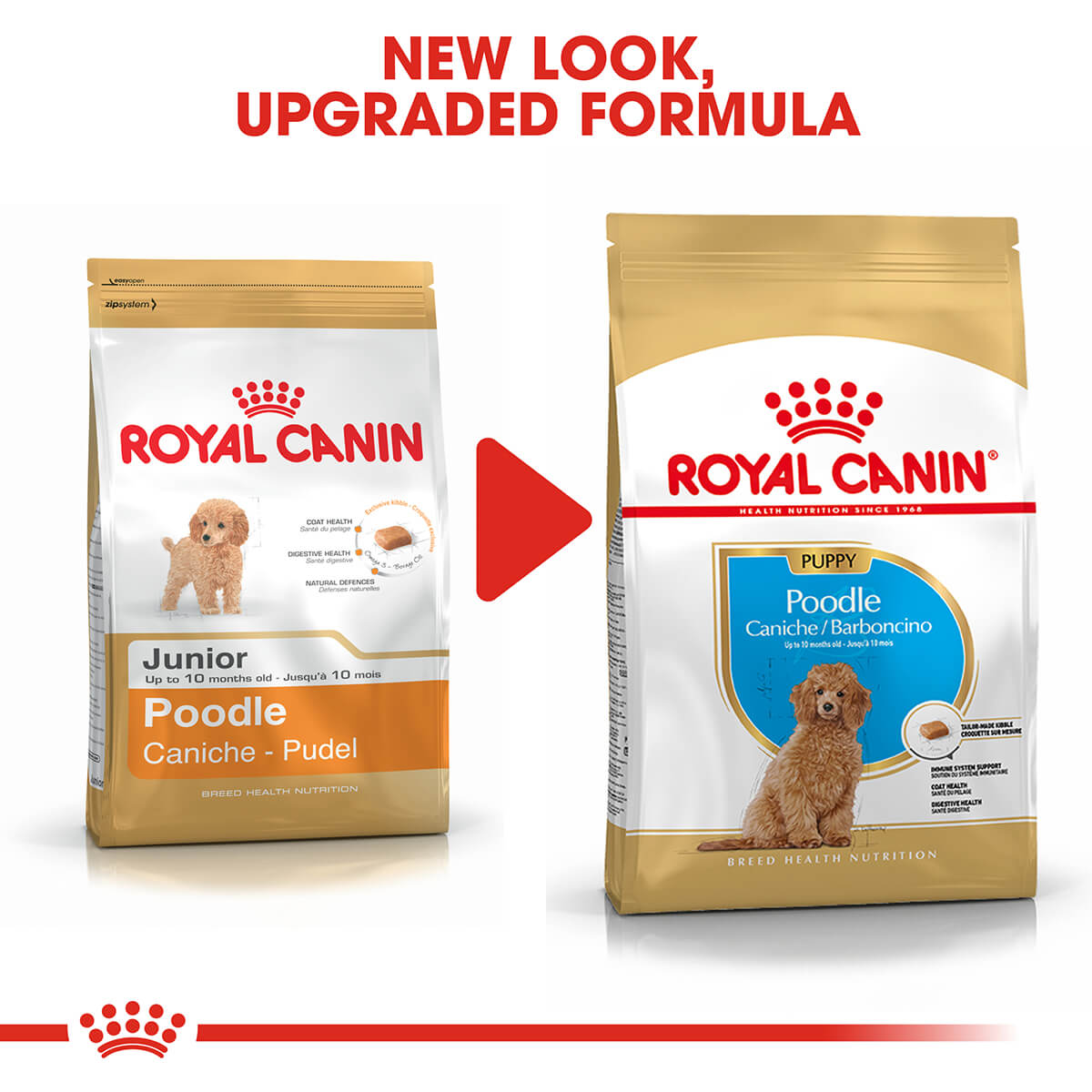 Royal Canin Poodle Puppy Dry Dog Food - PetPost Australia