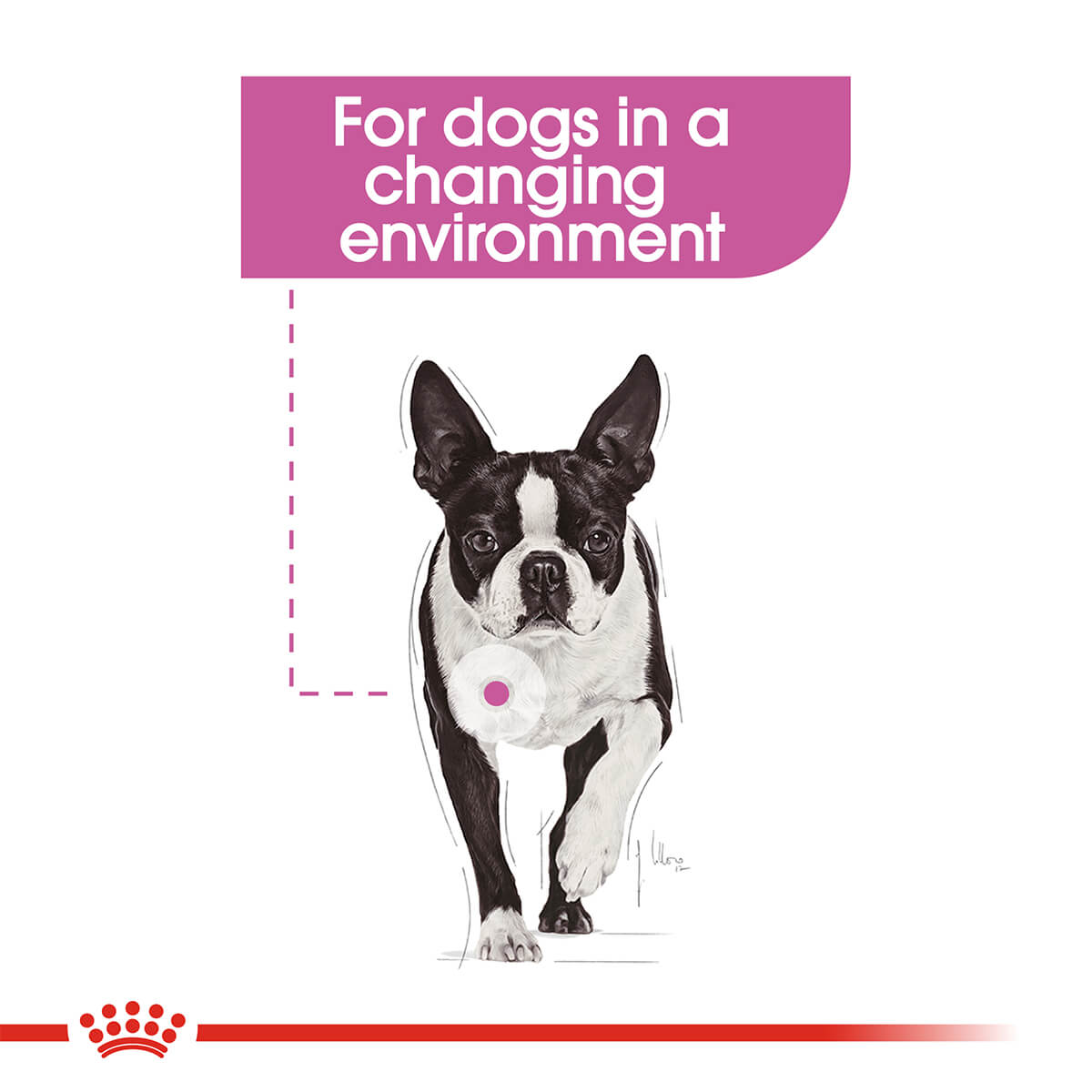 Royal Canin Relax Care Adult Loaf Wet Dog Food - PetPost Australia