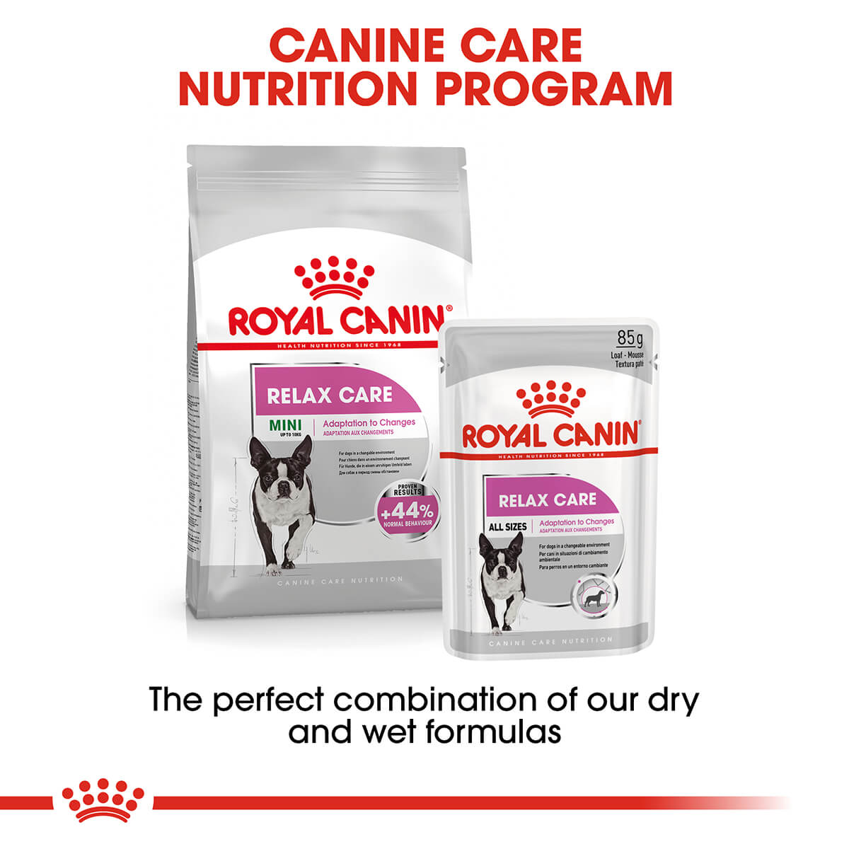 Royal Canin Relax Care Adult Loaf Wet Dog Food - PetPost Australia