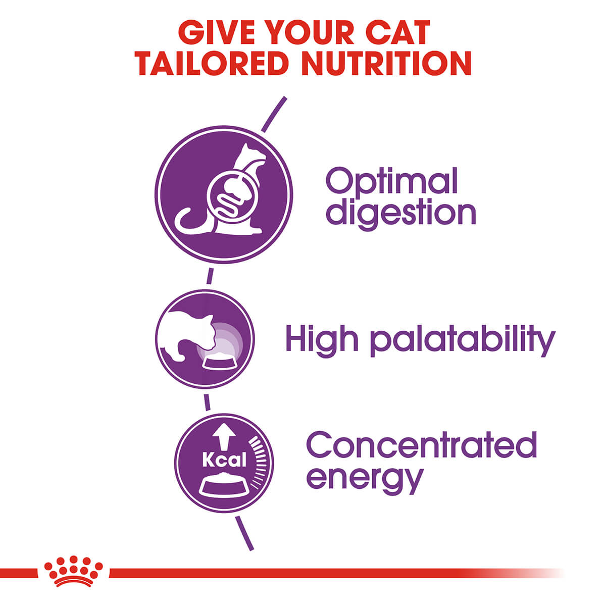 Royal Canin Sensible Digestion Adult Dry Cat Food - PetPost Australia