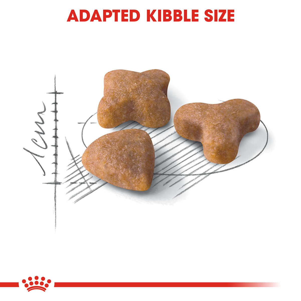 Royal Canin Sensible Digestion Adult Dry Cat Food - PetPost Australia