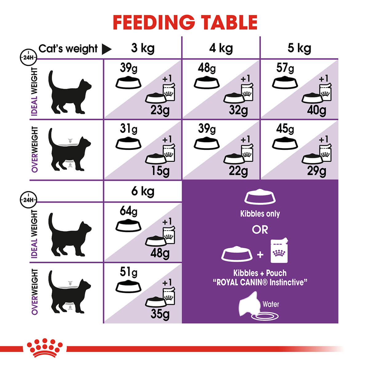 Royal Canin Sensible Digestion Adult Dry Cat Food - PetPost Australia