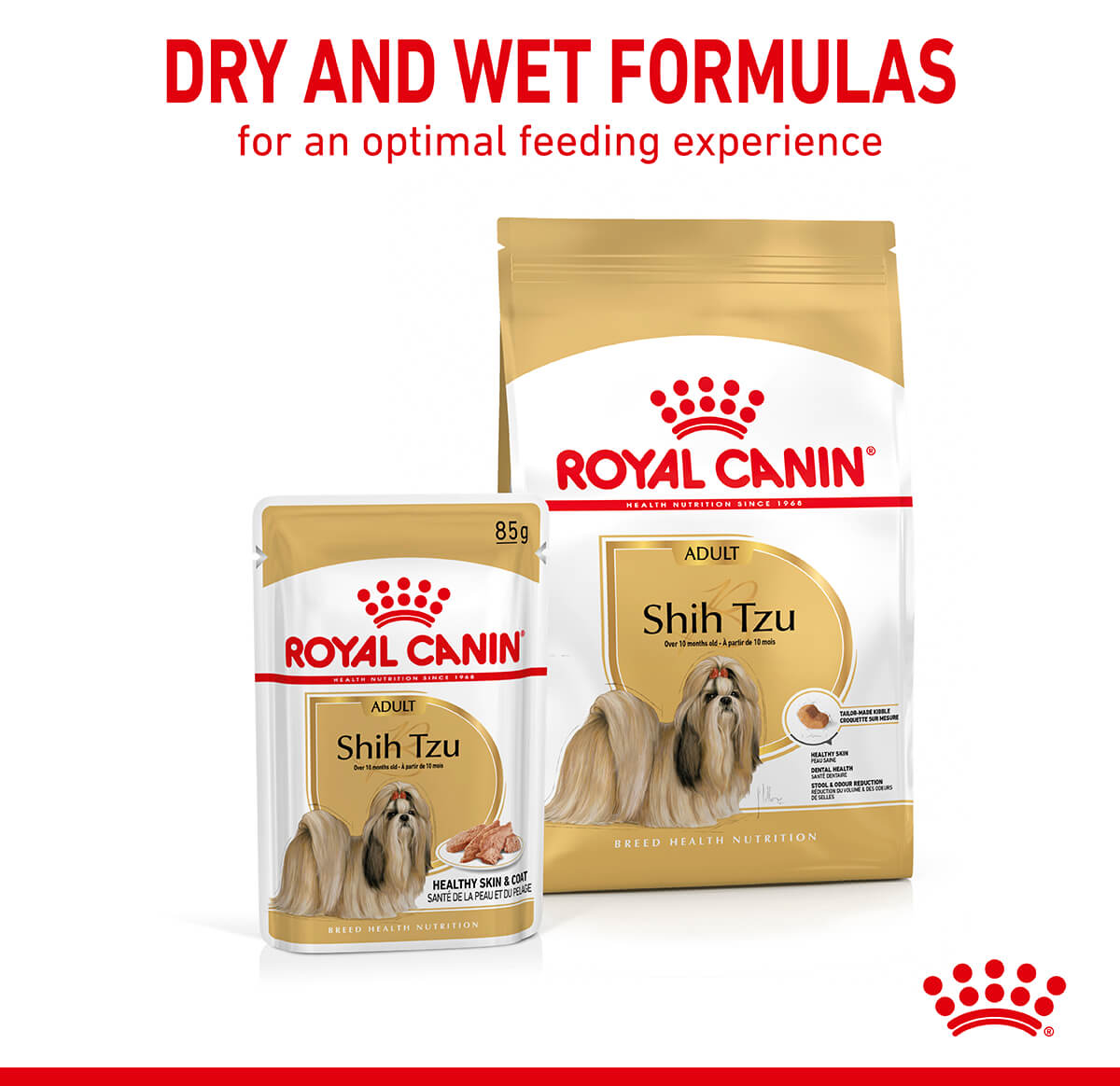 Royal Canin Shih Tzu Loaf Wet Dog Food - PetPost Australia