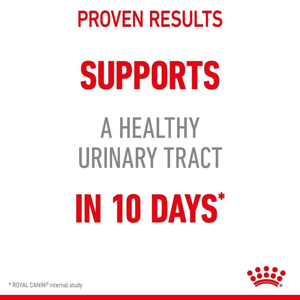 Royal Canin Urinary Care Adult Dry Cat Food - PetPost Australia