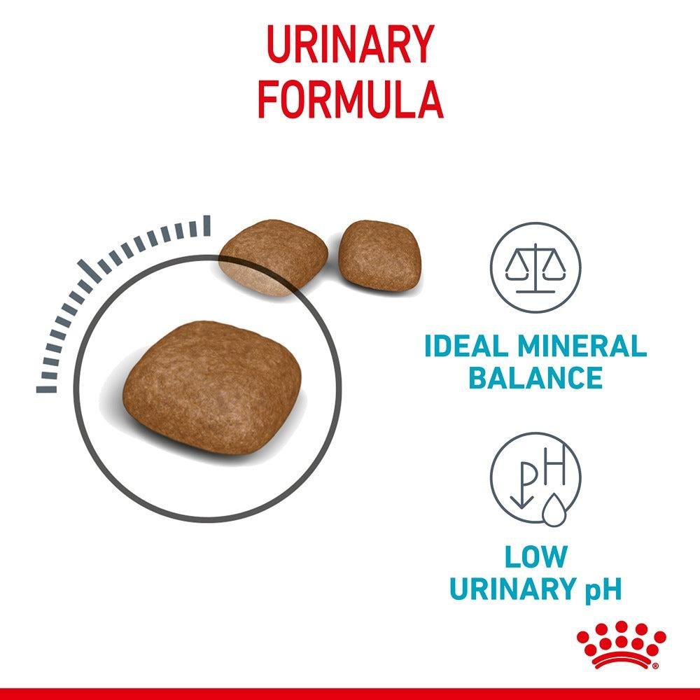 Royal Canin Urinary Care Adult Dry Cat Food - PetPost Australia