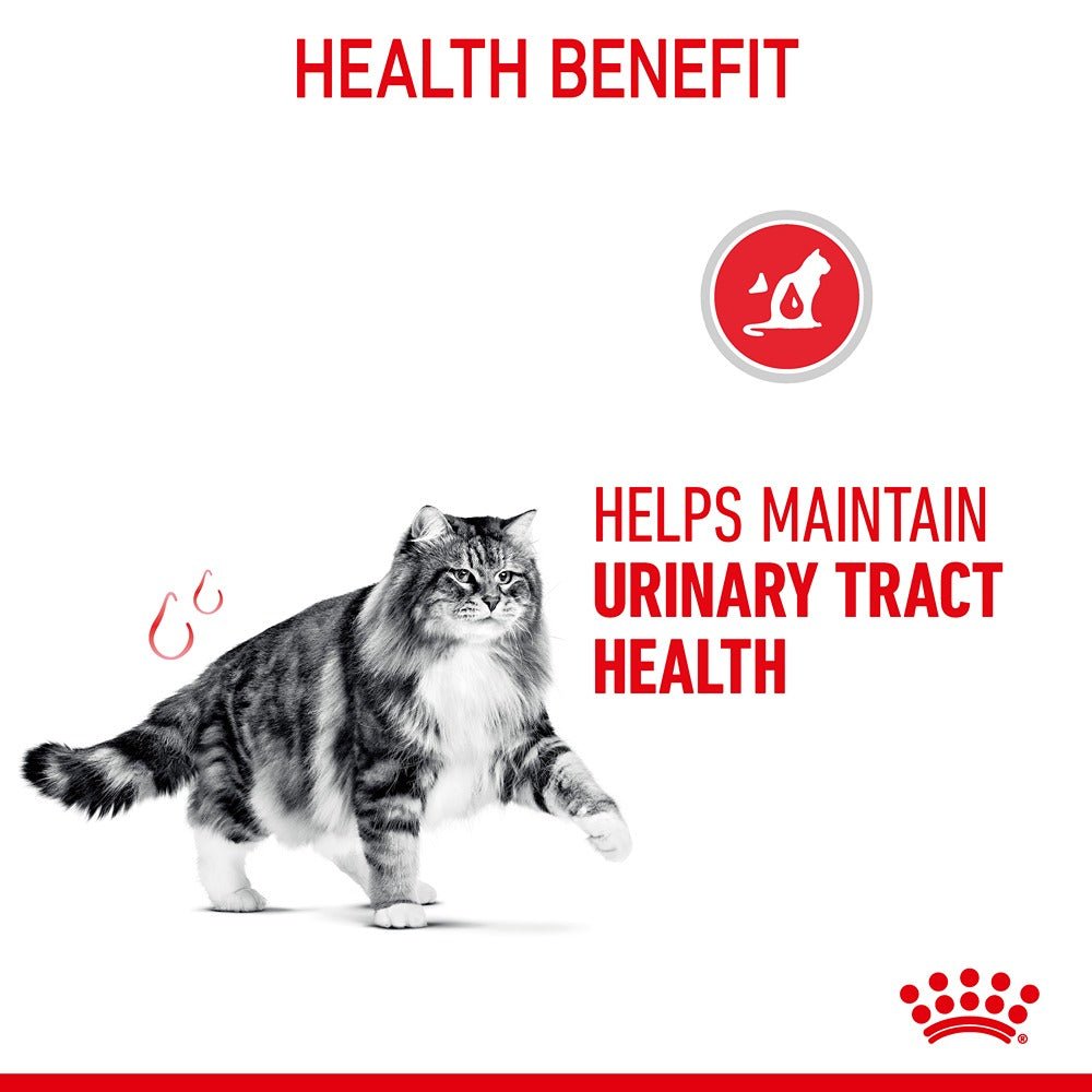 Royal Canin Urinary Care Adult Dry Cat Food - PetPost Australia