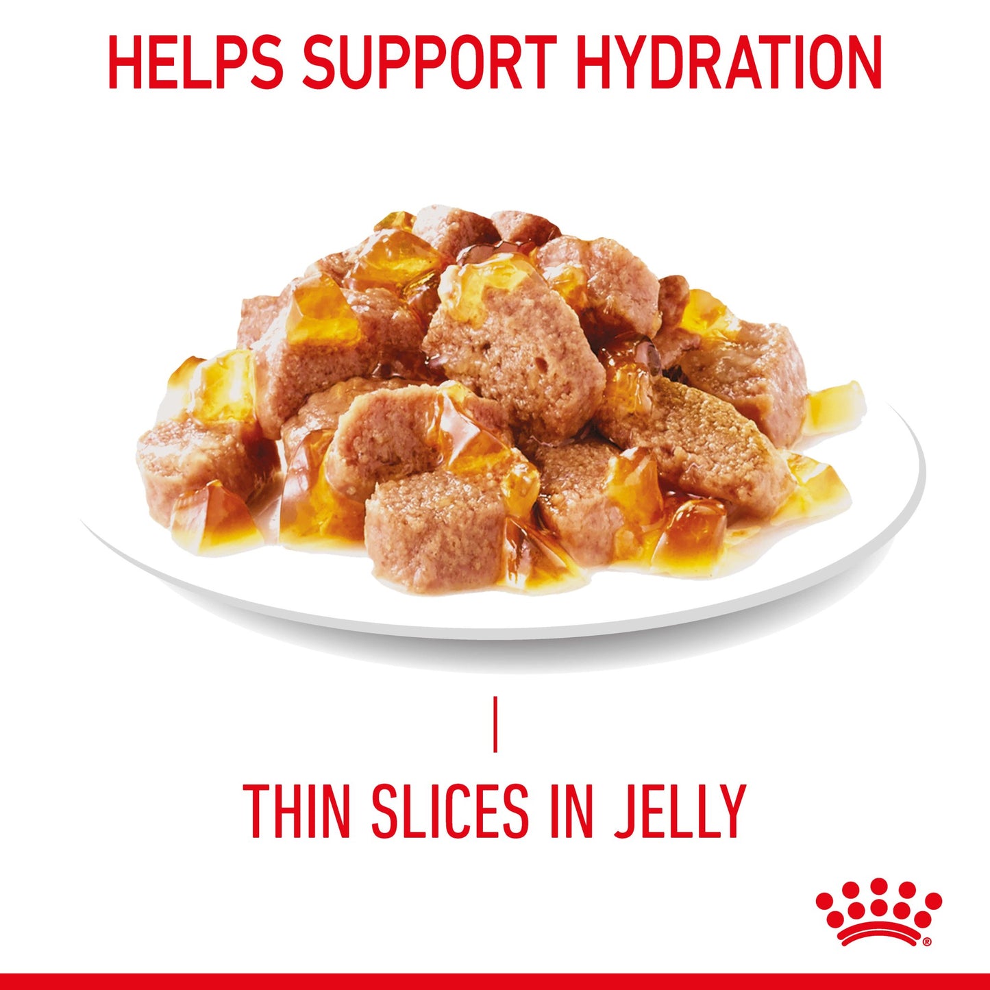 Royal Canin Urinary Care Jelly Adult Wet Cat Food Pouches - PetPost Australia