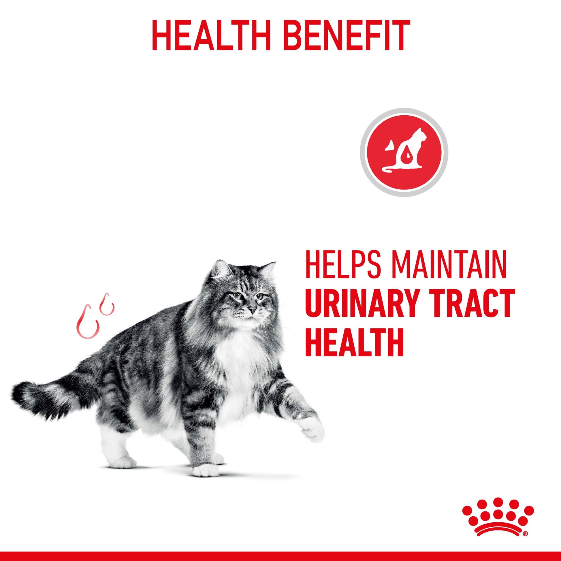 Royal Canin Urinary Care Jelly Adult Wet Cat Food Pouches - PetPost Australia