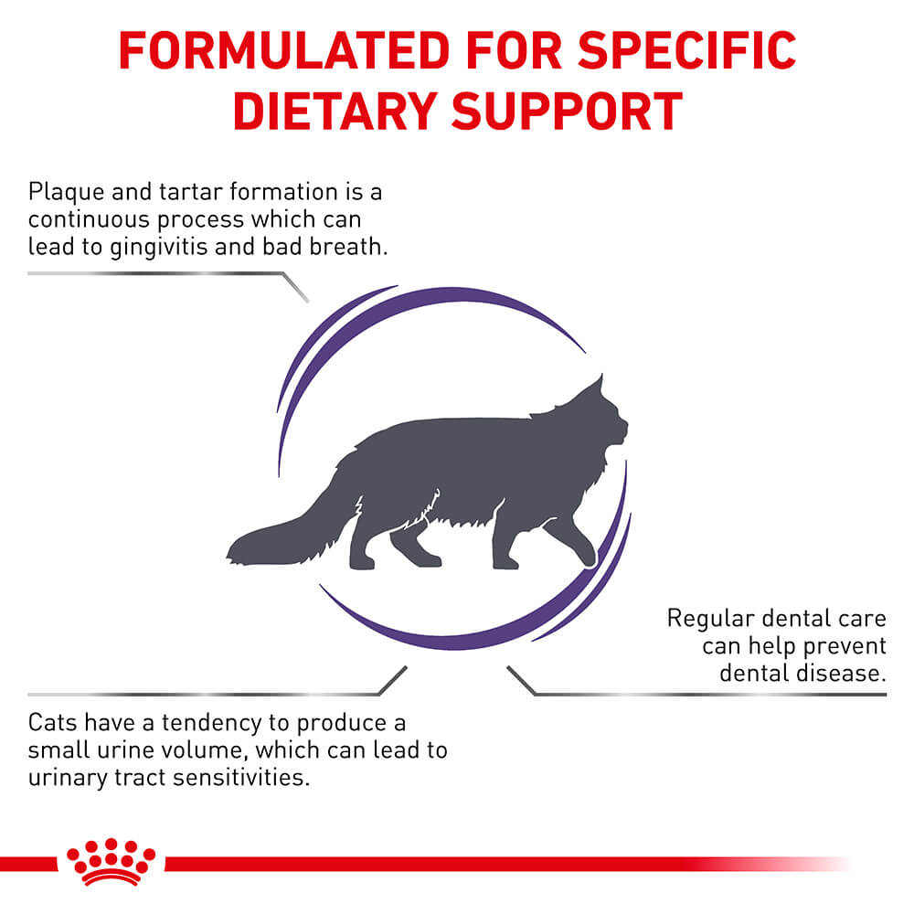 Royal Canin VET Dental Dry Cat Food - PetPost Australia