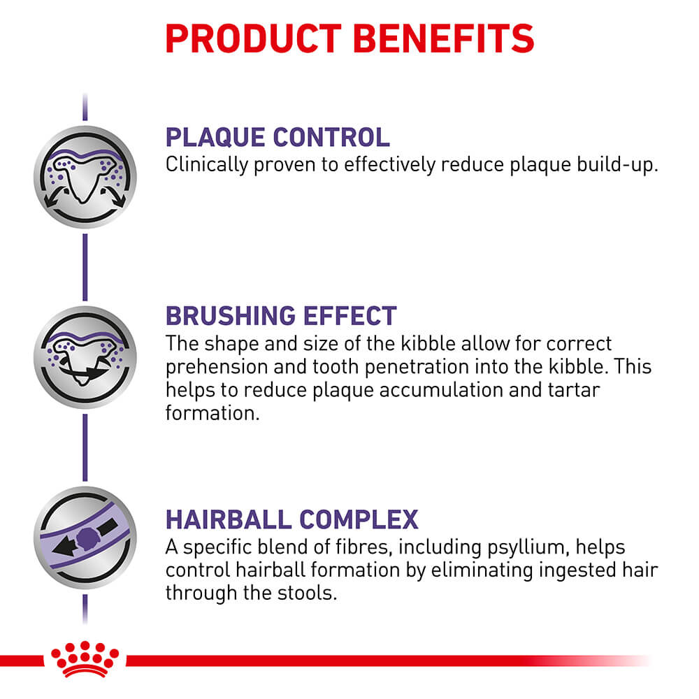 Royal Canin VET Dental Dry Cat Food - PetPost Australia