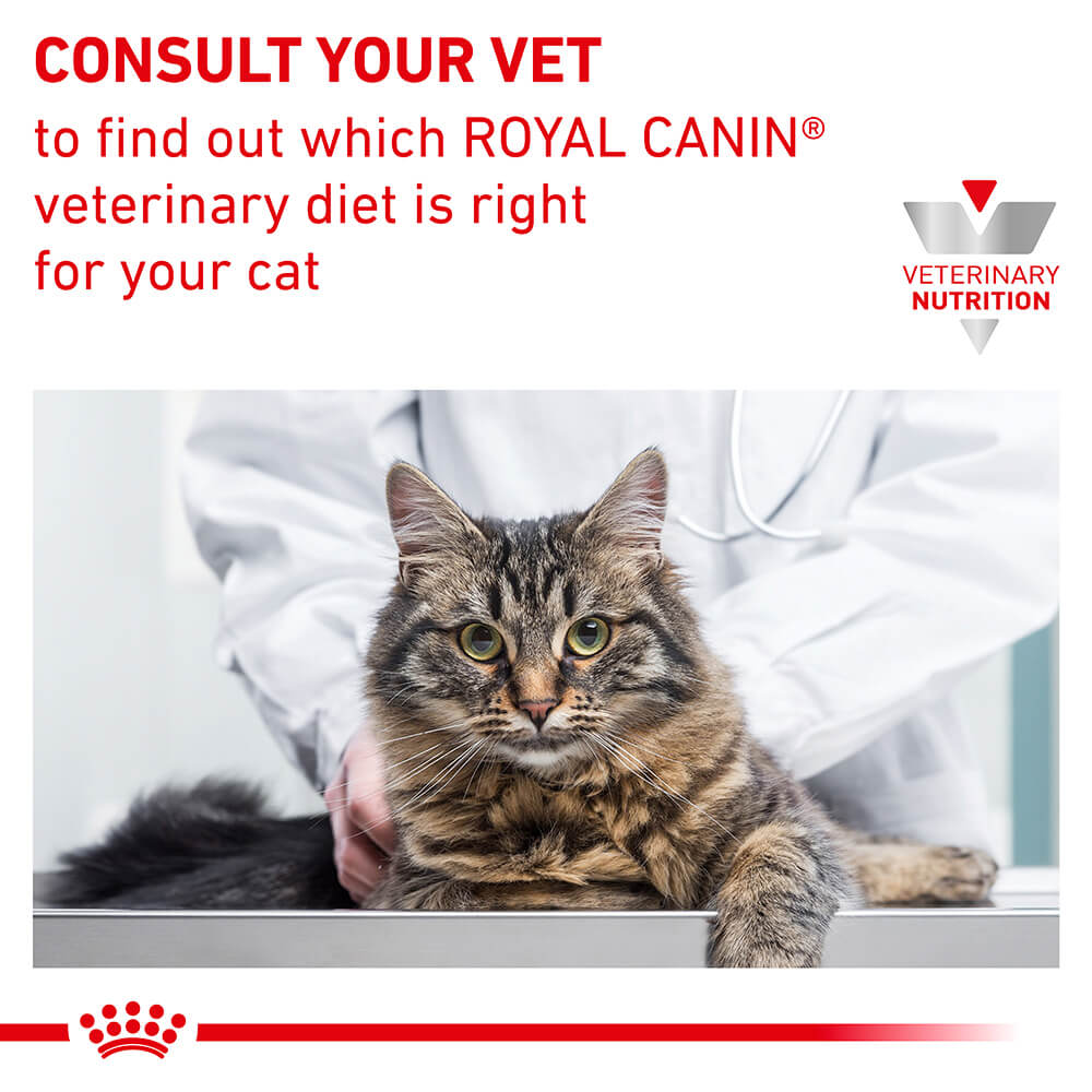 Royal Canin VET Dental Dry Cat Food - PetPost Australia