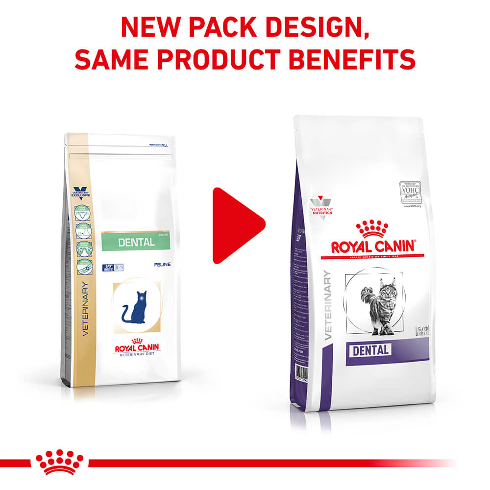 Royal Canin VET Dental Dry Cat Food - PetPost Australia