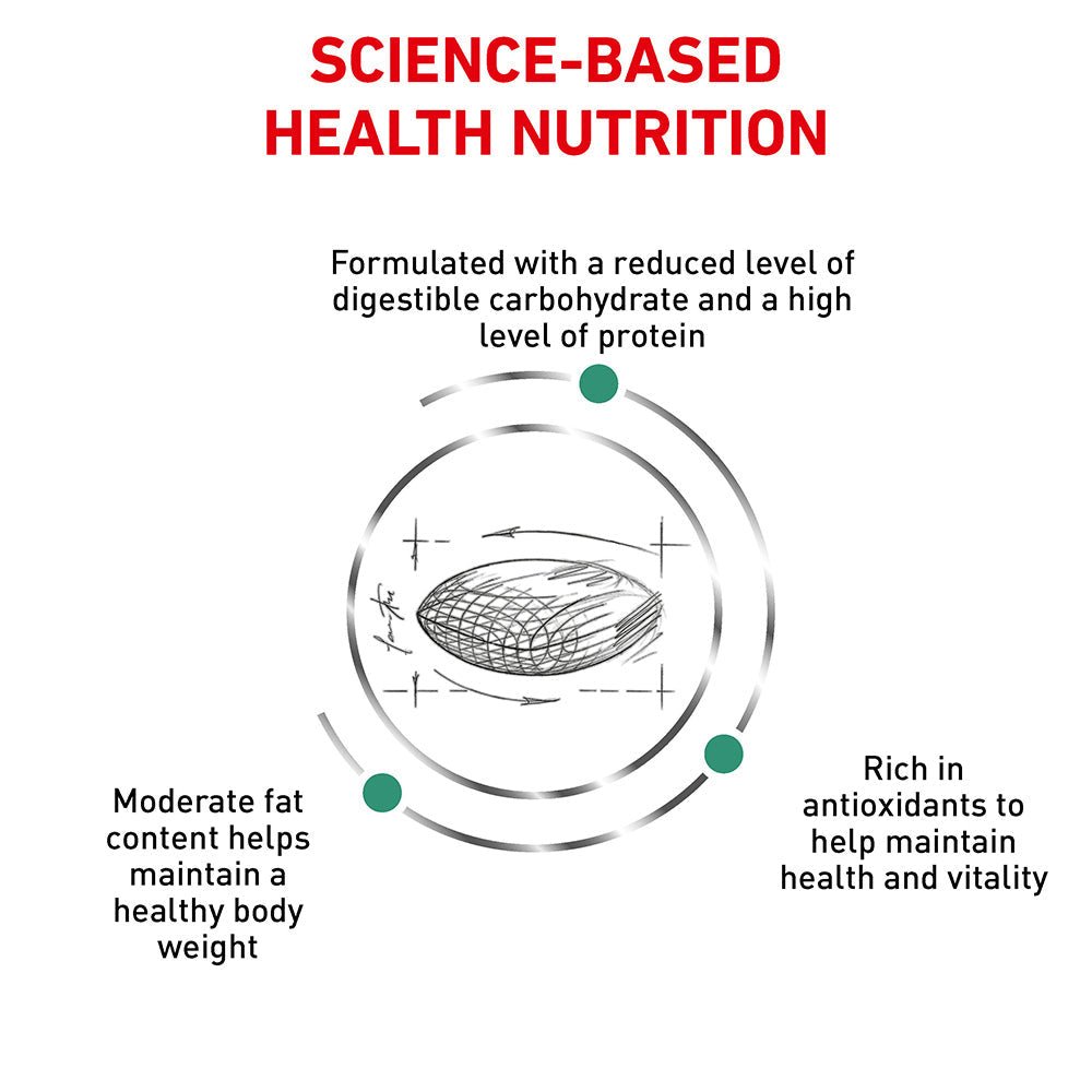 Royal Canin VET Diabetic Dry Cat Food - PetPost Australia