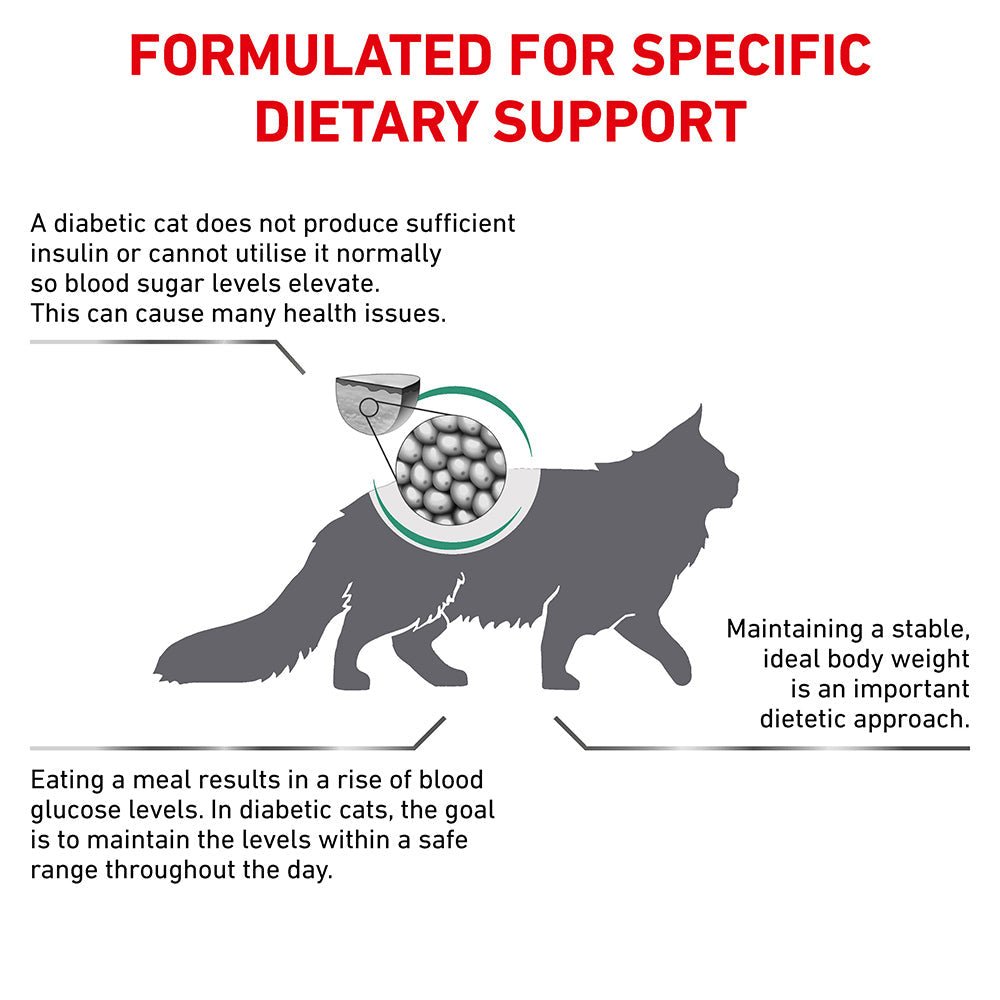 Royal Canin VET Diabetic Dry Cat Food - PetPost Australia