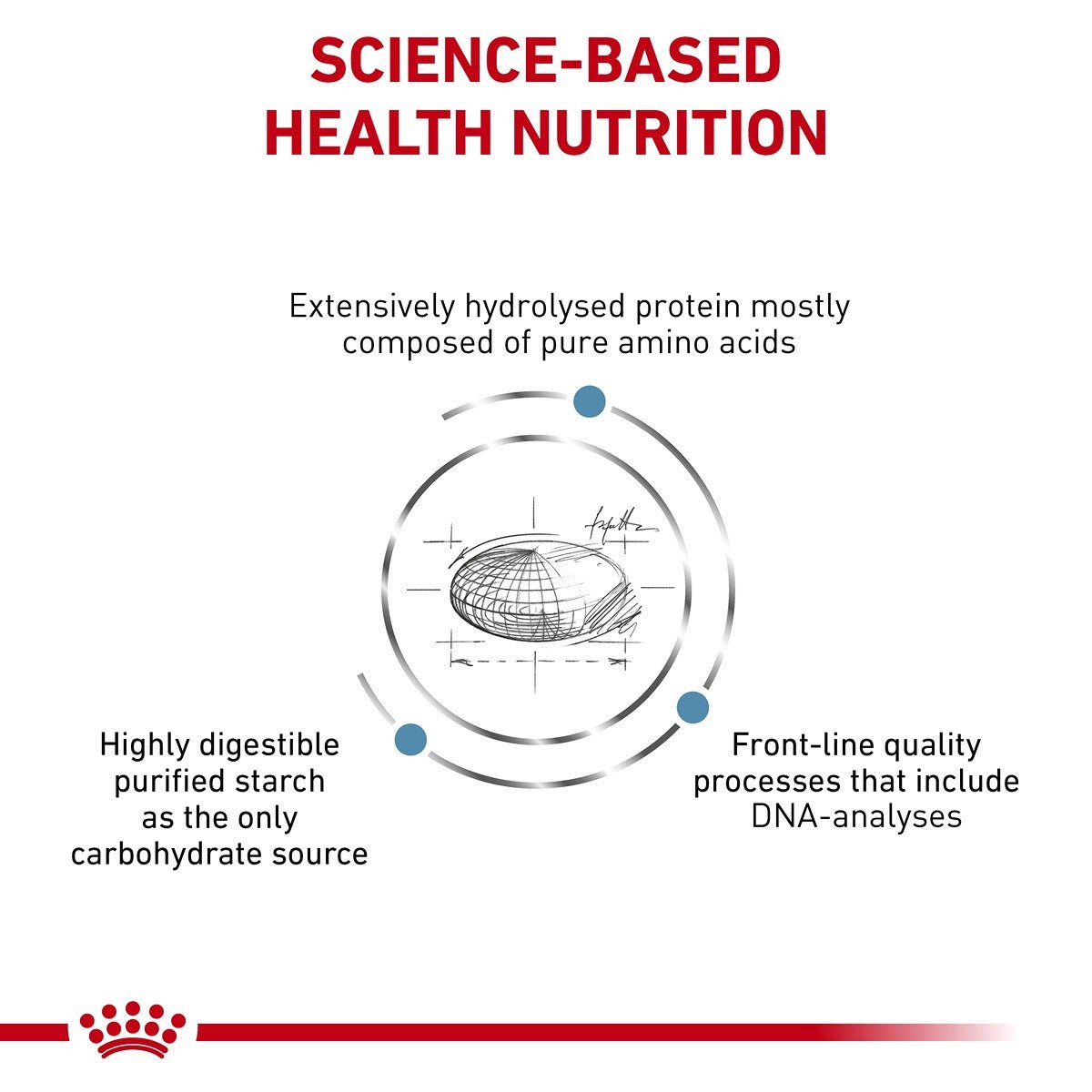 Royal Canin Veterinary Anallergenic Dry Cat Food - PetPost Australia