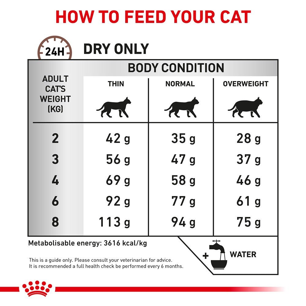 ROYAL CANIN VETERINARY DIET Gastrointestinal Hairball Adult Dry Cat Food - PetPost Australia