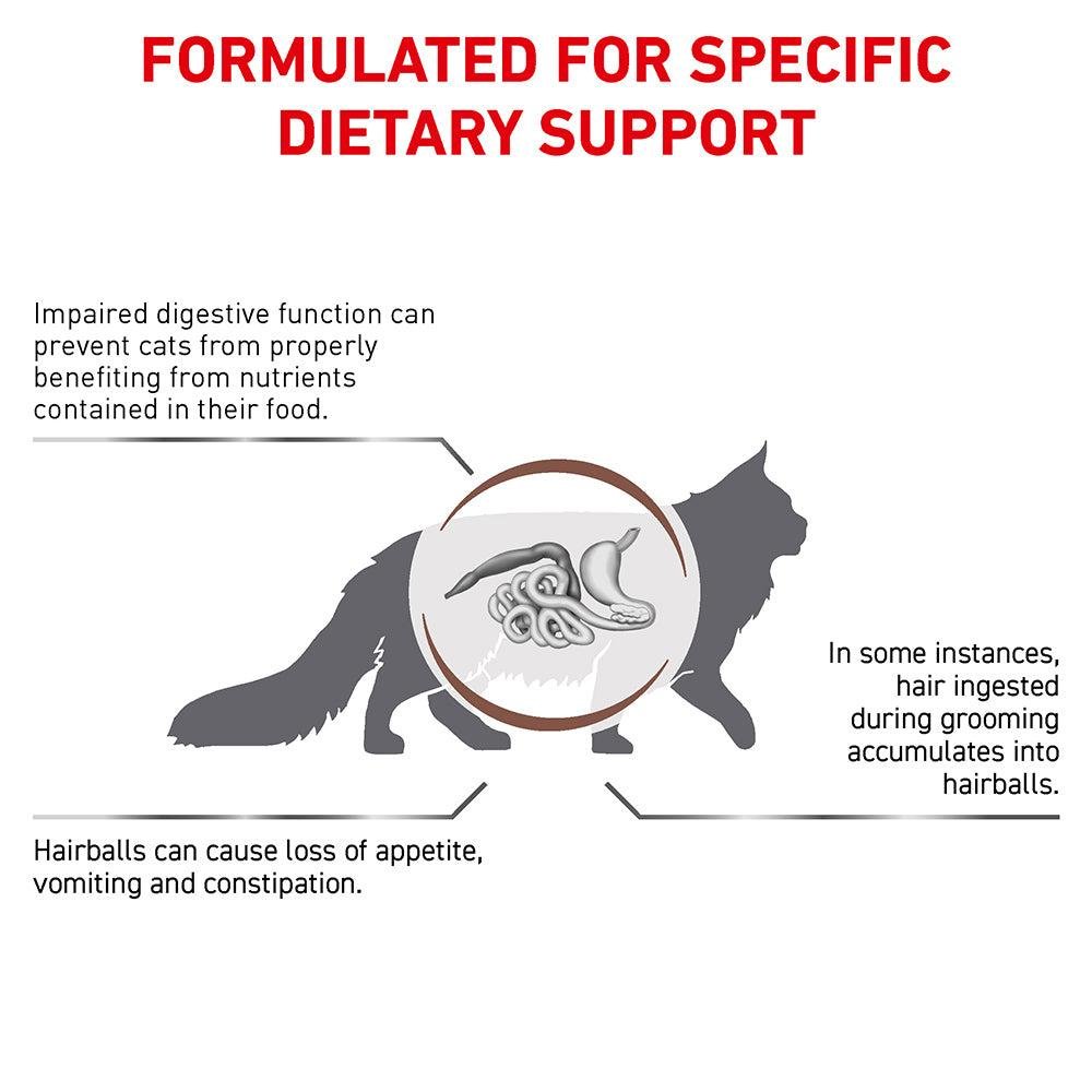 ROYAL CANIN VETERINARY DIET Gastrointestinal Hairball Adult Dry Cat Food - PetPost Australia