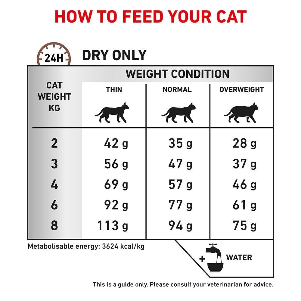 ROYAL CANIN VETERINARY DIET Gastrointestinal Hairball Adult Dry Cat Food - PetPost Australia