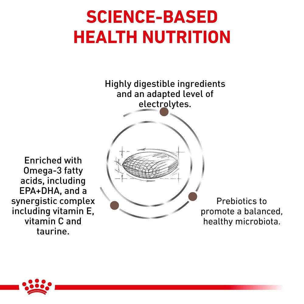 ROYAL CANIN VETERINARY DIET Gastrointestinal Hairball Adult Dry Cat Food - PetPost Australia