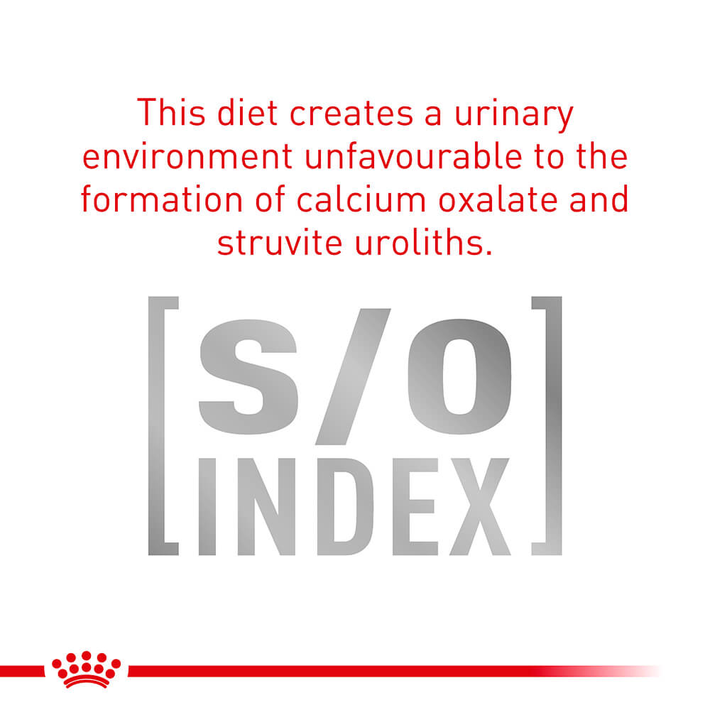 ROYAL CANIN VETERINARY DIET Neutered Adult Small Dog Dry Food - PetPost Australia