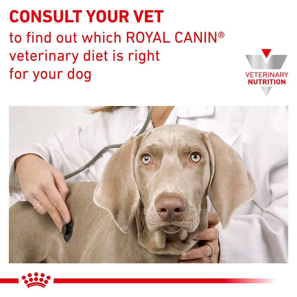 ROYAL CANIN VETERINARY DIET Neutered Adult Small Dog Dry Food - PetPost Australia