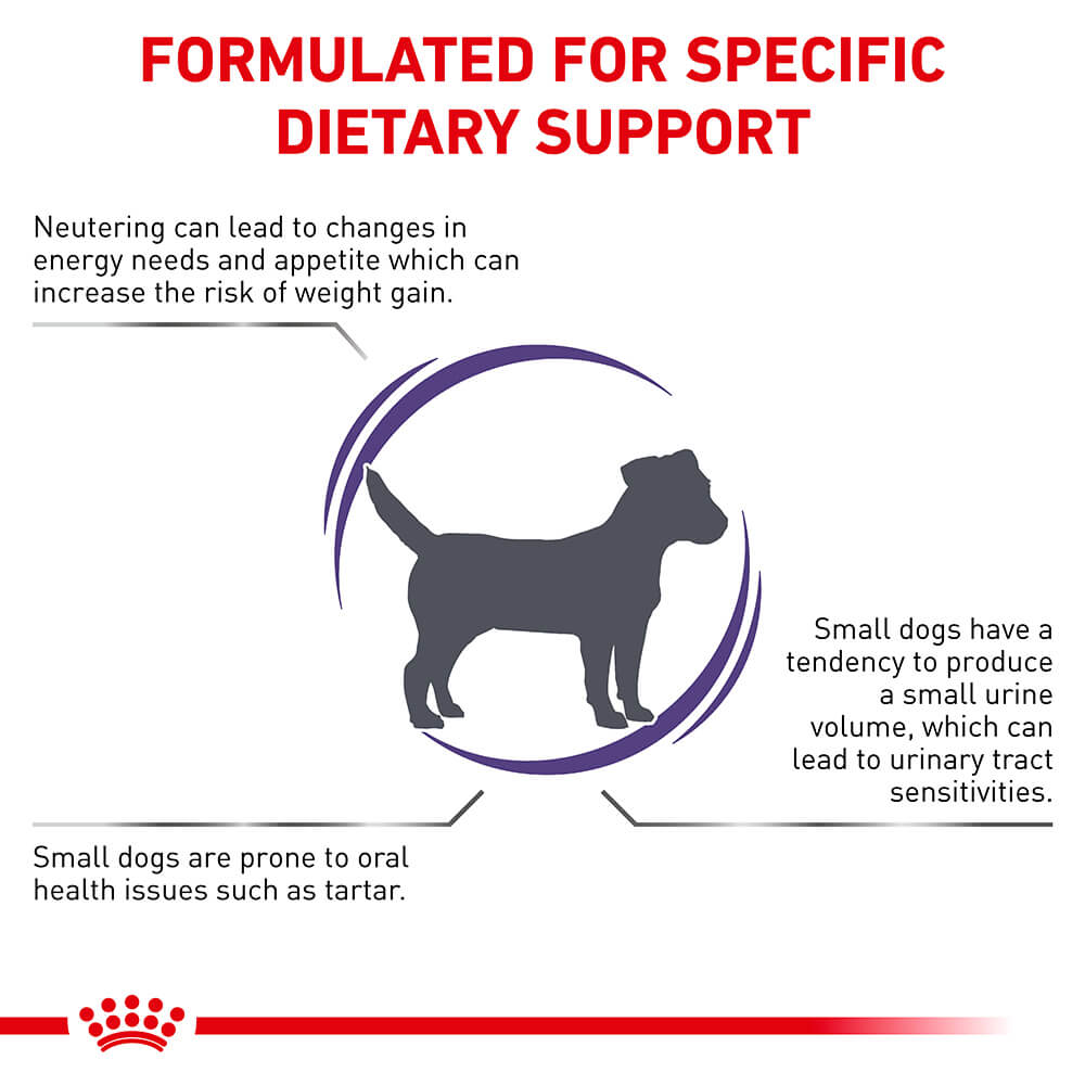 ROYAL CANIN VETERINARY DIET Neutered Adult Small Dog Dry Food - PetPost Australia