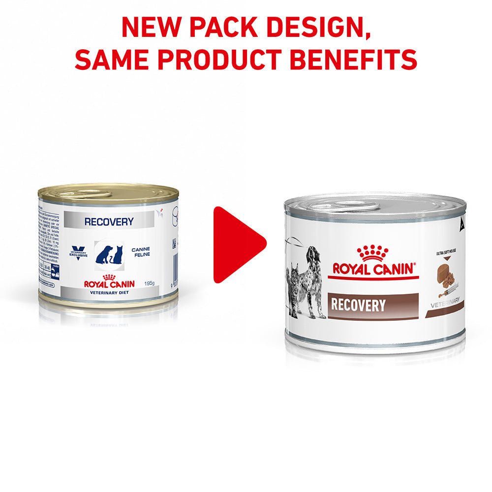 ROYAL CANIN VETERINARY DIET Recovery Adult Wet Food Cans - PetPost Australia