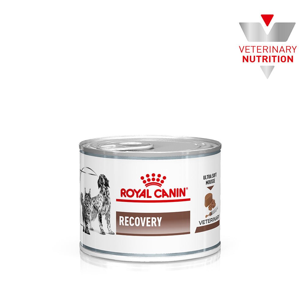 ROYAL CANIN VETERINARY DIET Recovery Adult Wet Food Cans - PetPost Australia