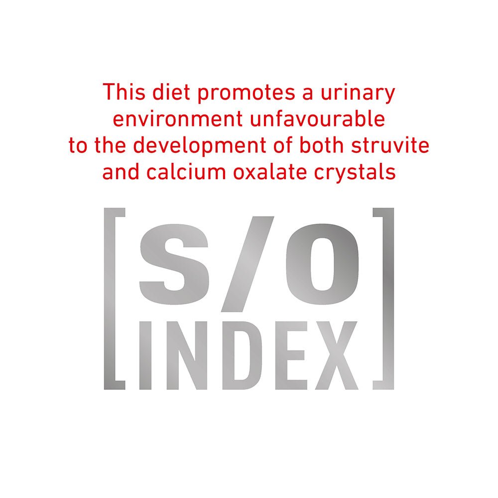 ROYAL CANIN VETERINARY DIET Satiety Adult Wet Cat Food Pouches 85G - PetPost Australia