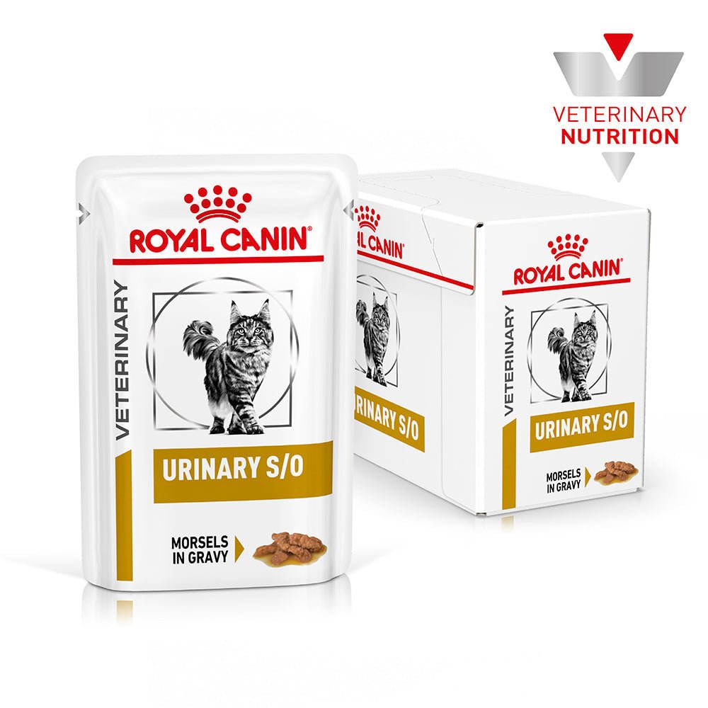 ROYAL CANIN VETERINARY DIET Urinary S/O Low Wet Cat Food - PetPost Australia