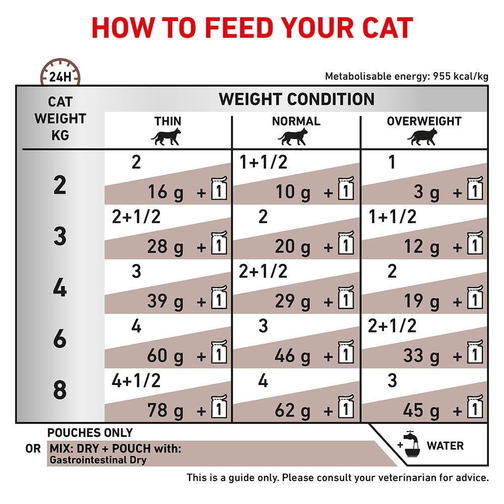 Royal Canin Veterinary Gastro Intestinal Pouch Wet Cat Food - PetPost Australia