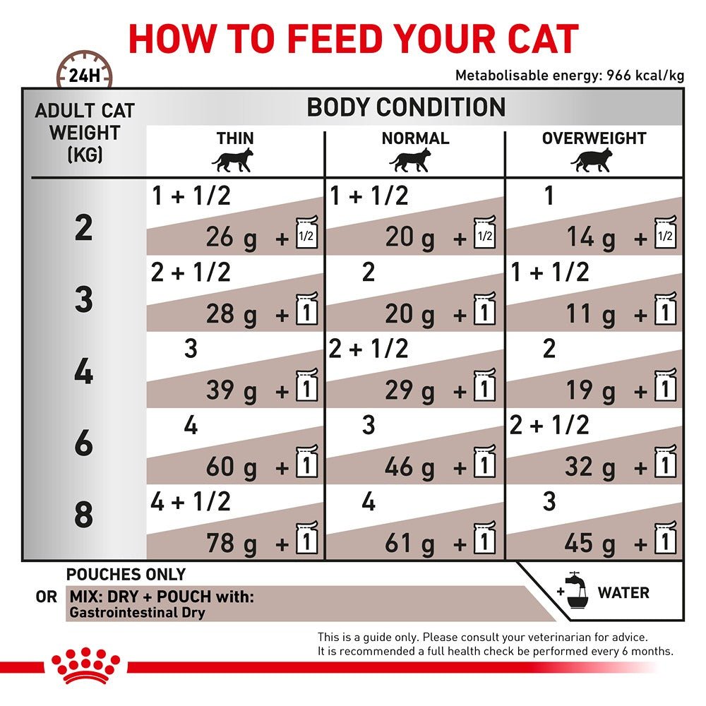 Royal Canin Veterinary Gastro Intestinal Pouch Wet Cat Food - PetPost Australia