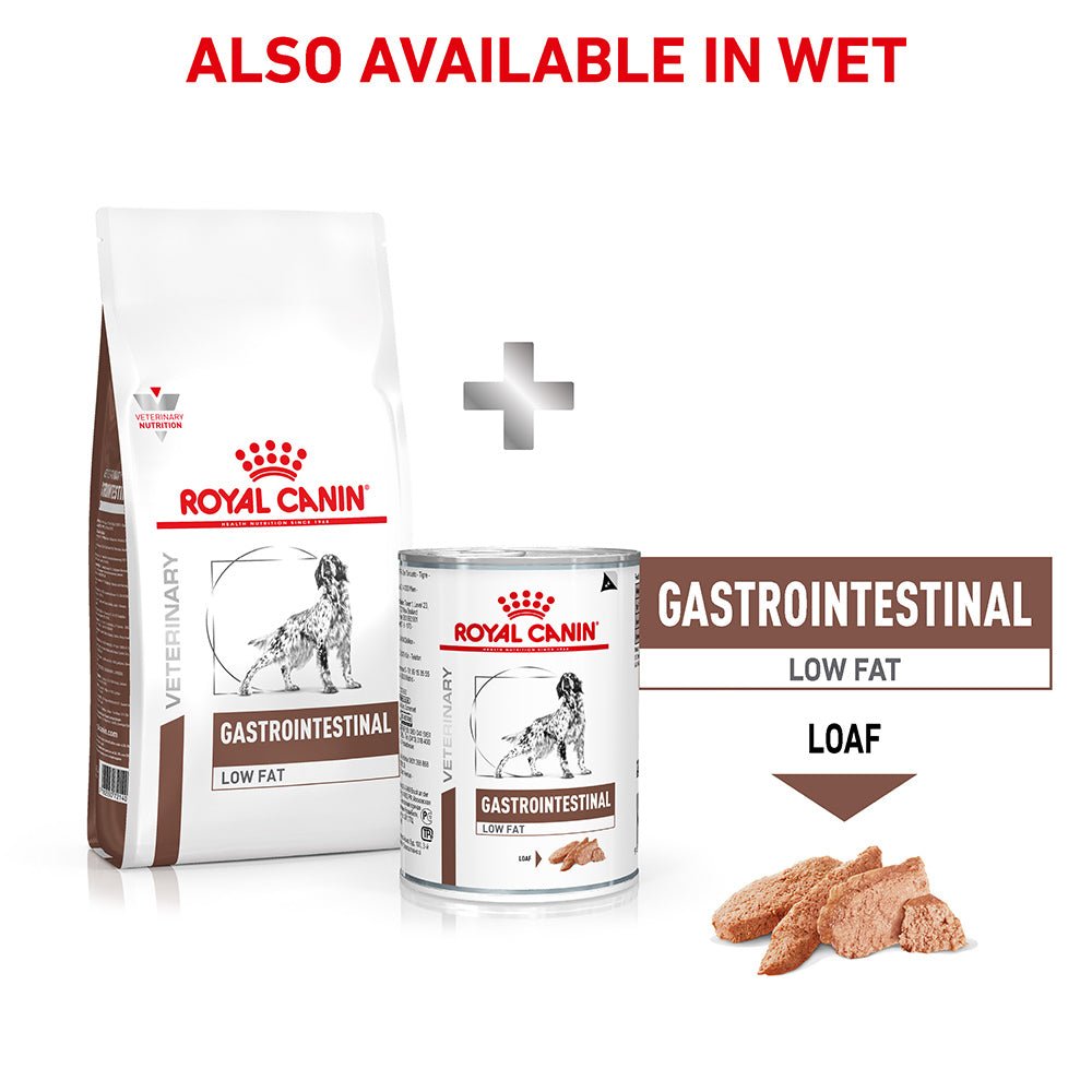 Royal Canin Veterinary Gastrointestinal Low Fat Dry Dog Food - PetPost Australia