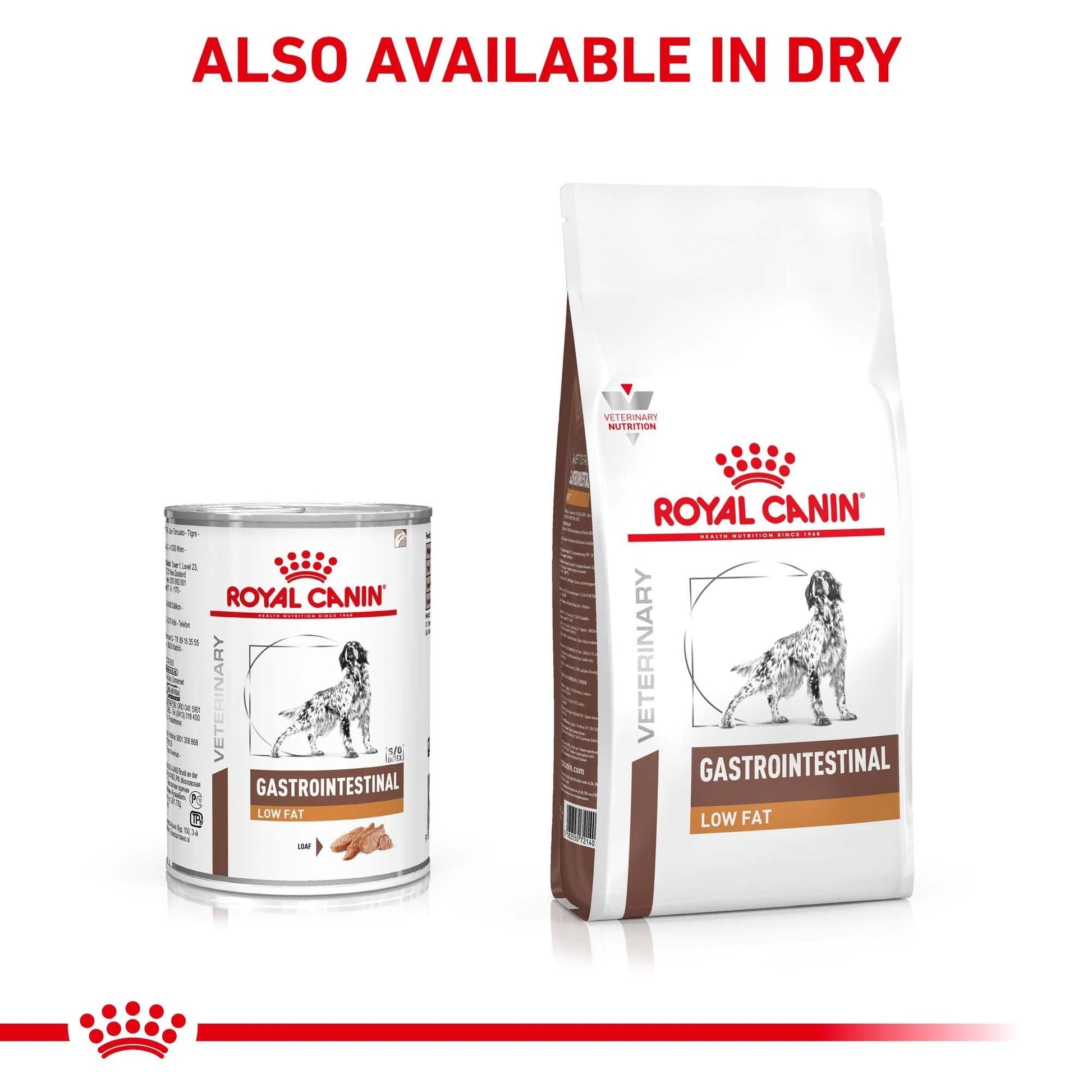 Royal Canin Veterinary Gastrointestinal Low Fat Wet Dog Food - PetPost Australia