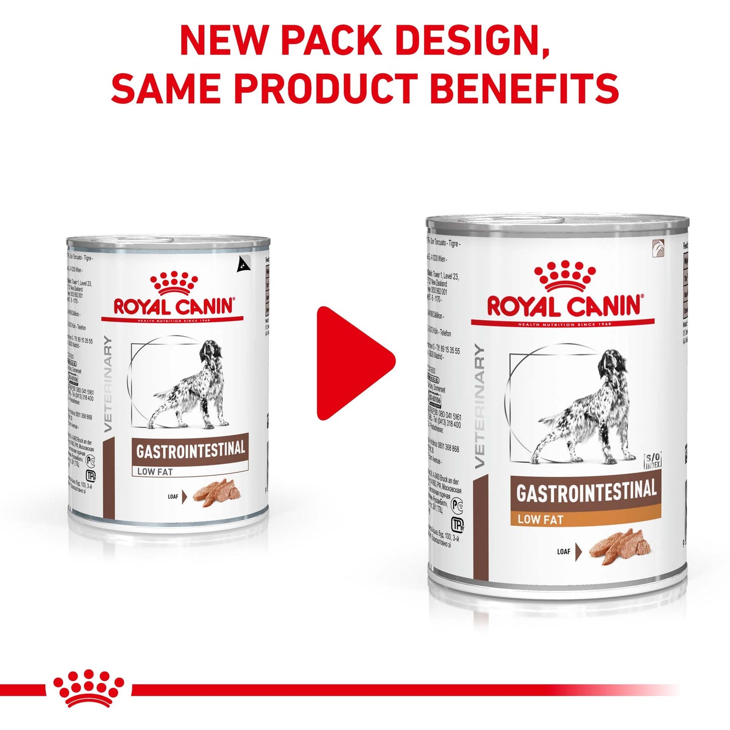 Royal Canin Veterinary Gastrointestinal Low Fat Wet Dog Food - PetPost Australia