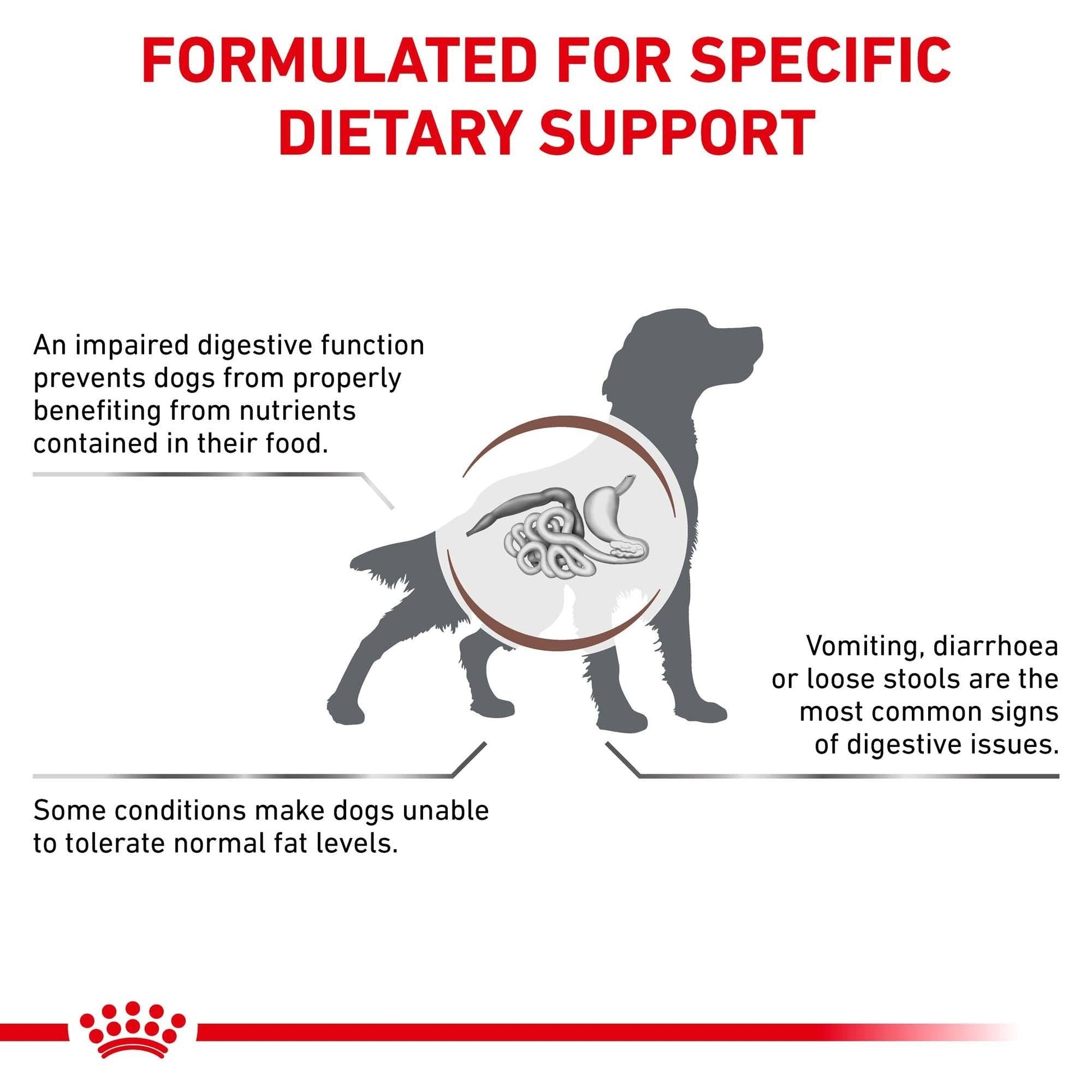 Royal Canin Veterinary Gastrointestinal Low Fat Wet Dog Food - PetPost Australia
