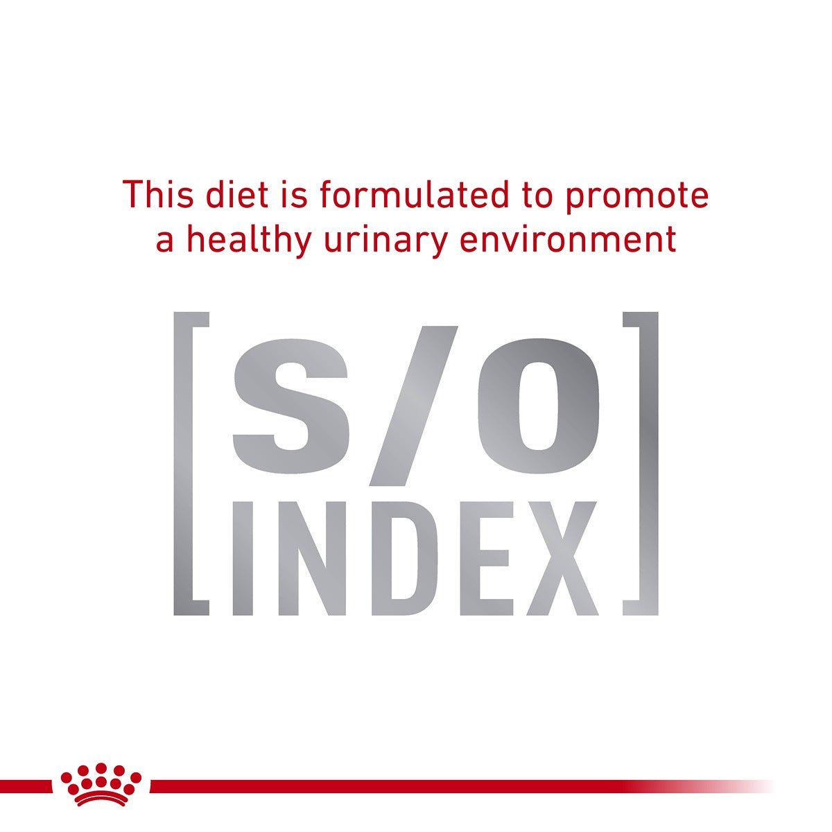 Royal Canin Veterinary Hypoallergenic Dry Cat Food - PetPost Australia