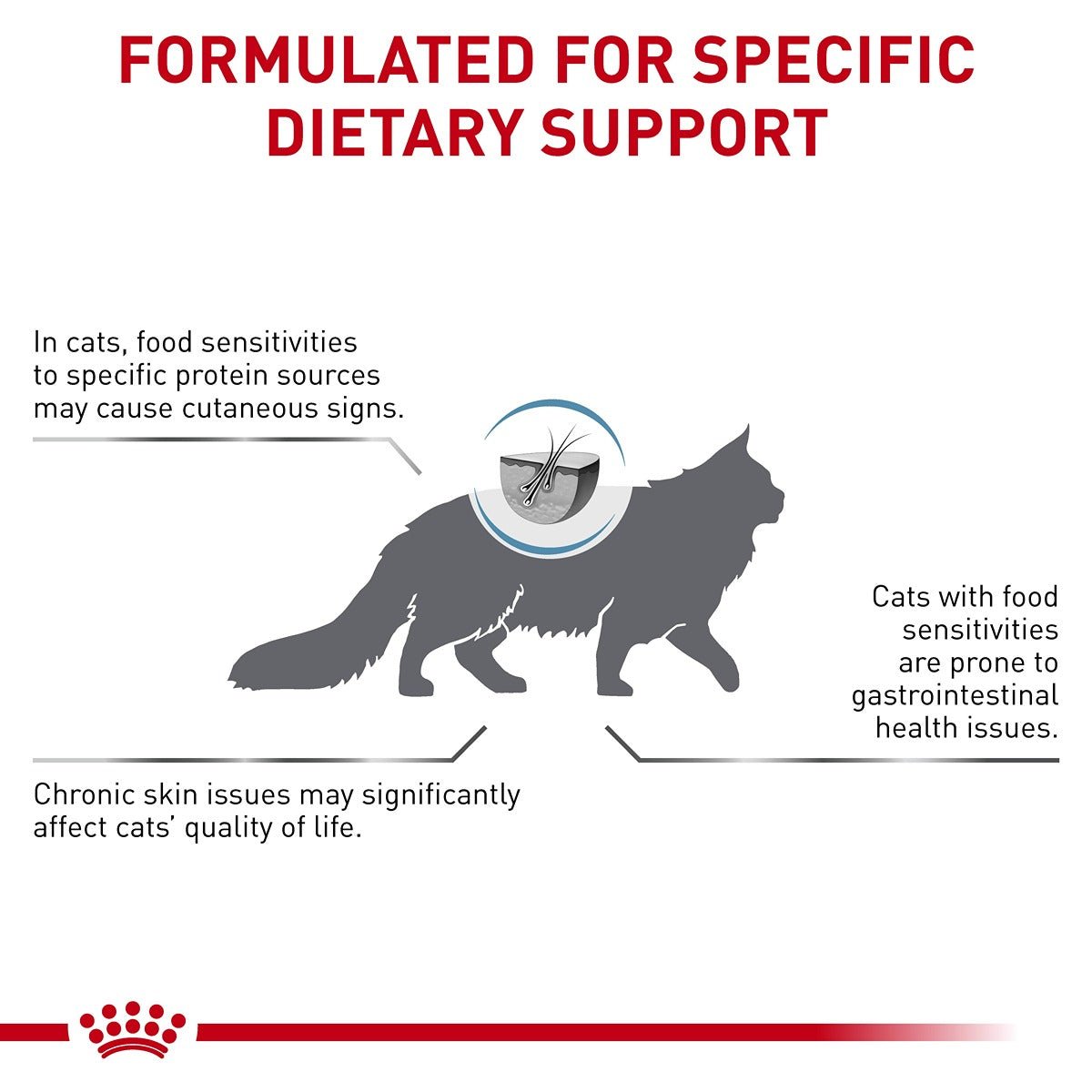 Royal Canin Veterinary Hypoallergenic Dry Cat Food - PetPost Australia