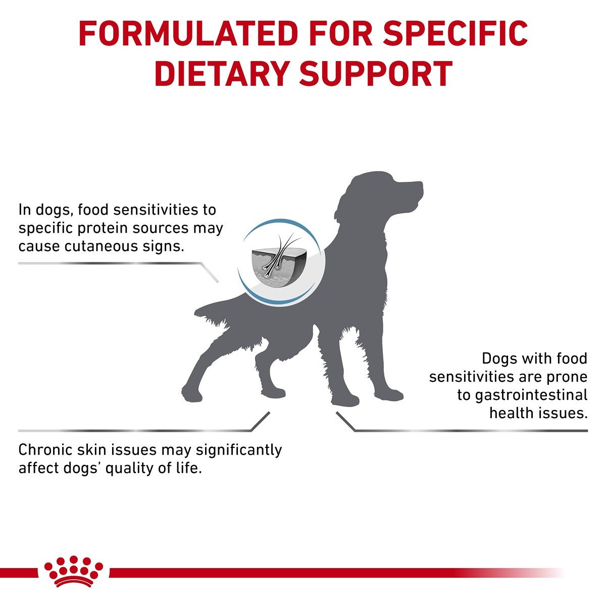 Royal Canin Veterinary Hypoallergenic Wet Dog Food Cans - PetPost Australia