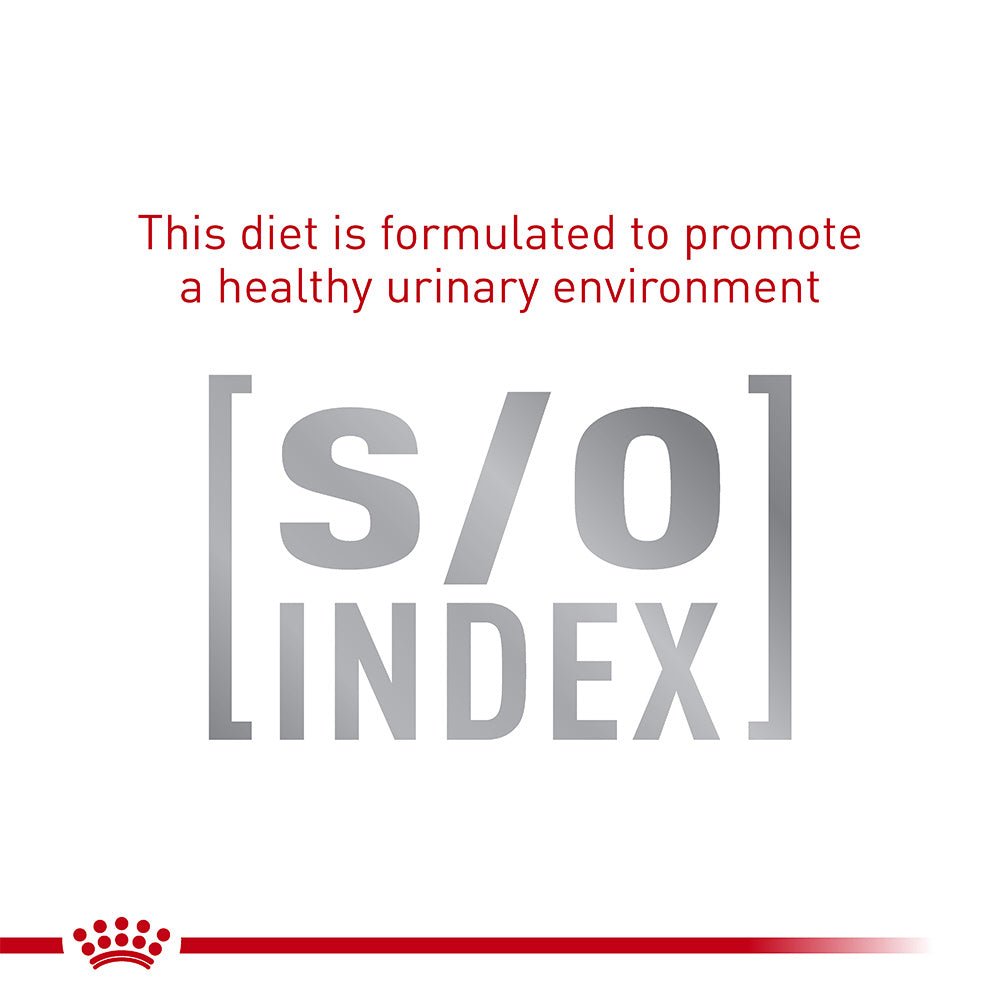 Royal Canin Veterinary Skintopic Small Dry Dog Food - PetPost Australia