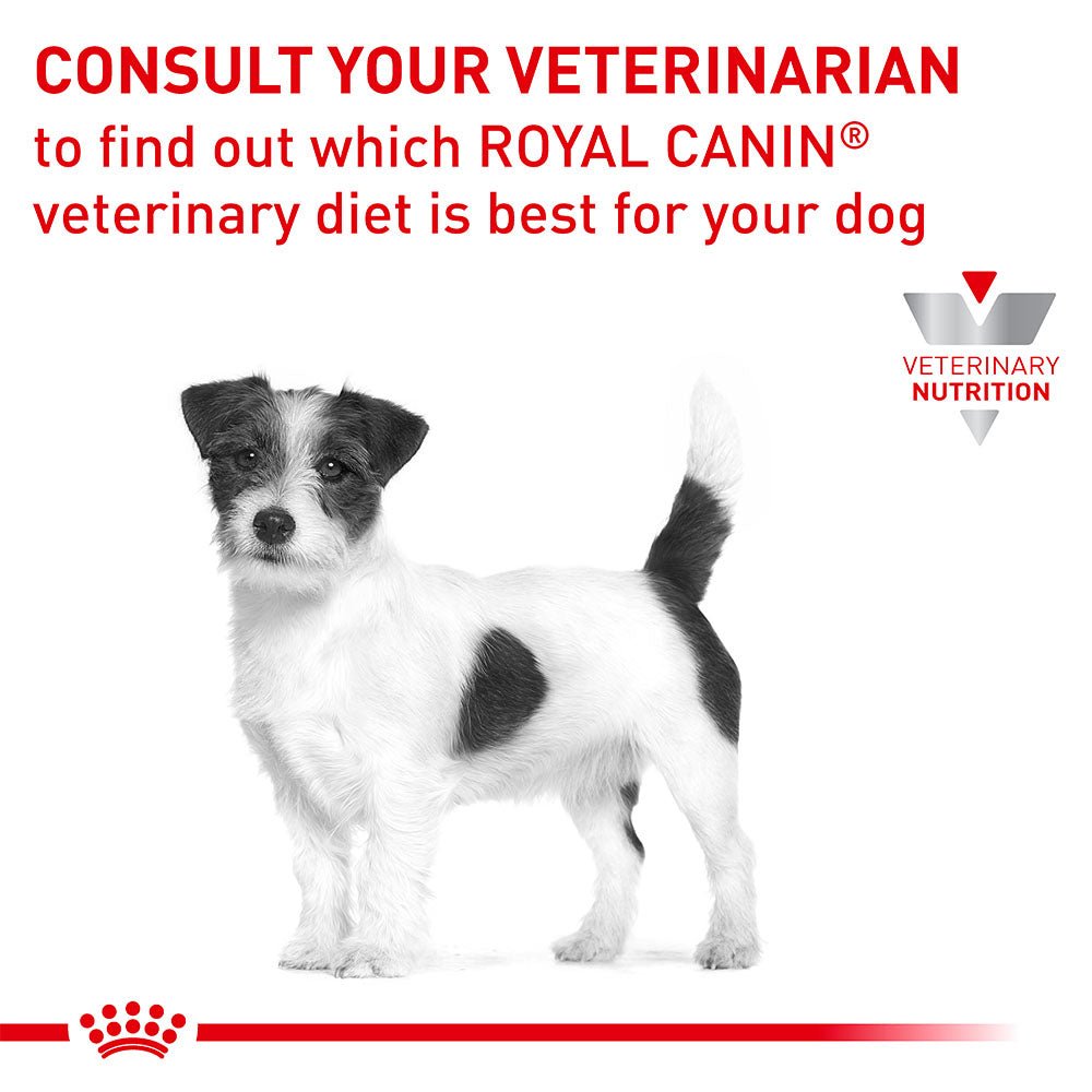 Royal Canin Veterinary Skintopic Small Dry Dog Food - PetPost Australia