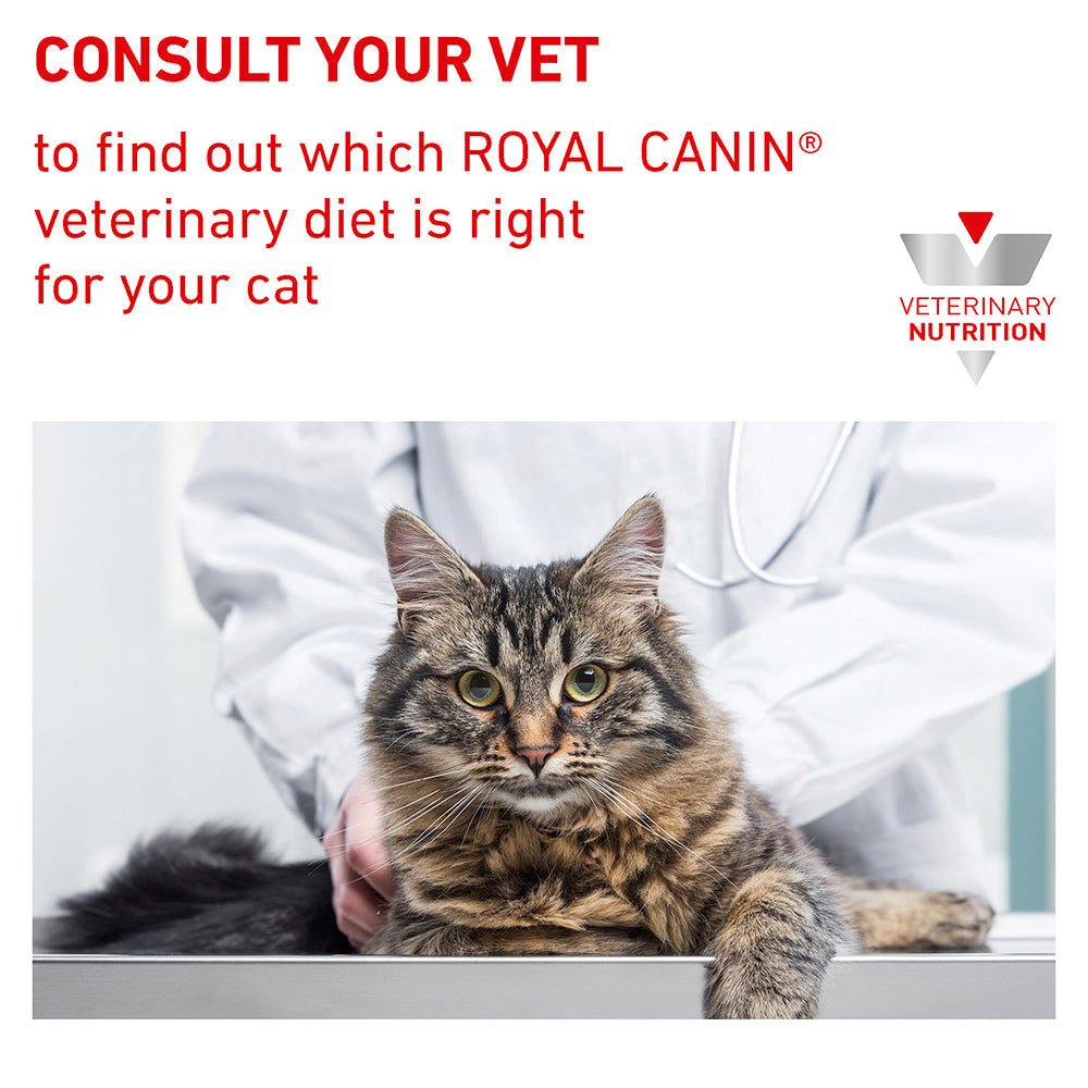 Royal Canin Veterinary Urinary S/O Low Wet Cat Food - PetPost Australia