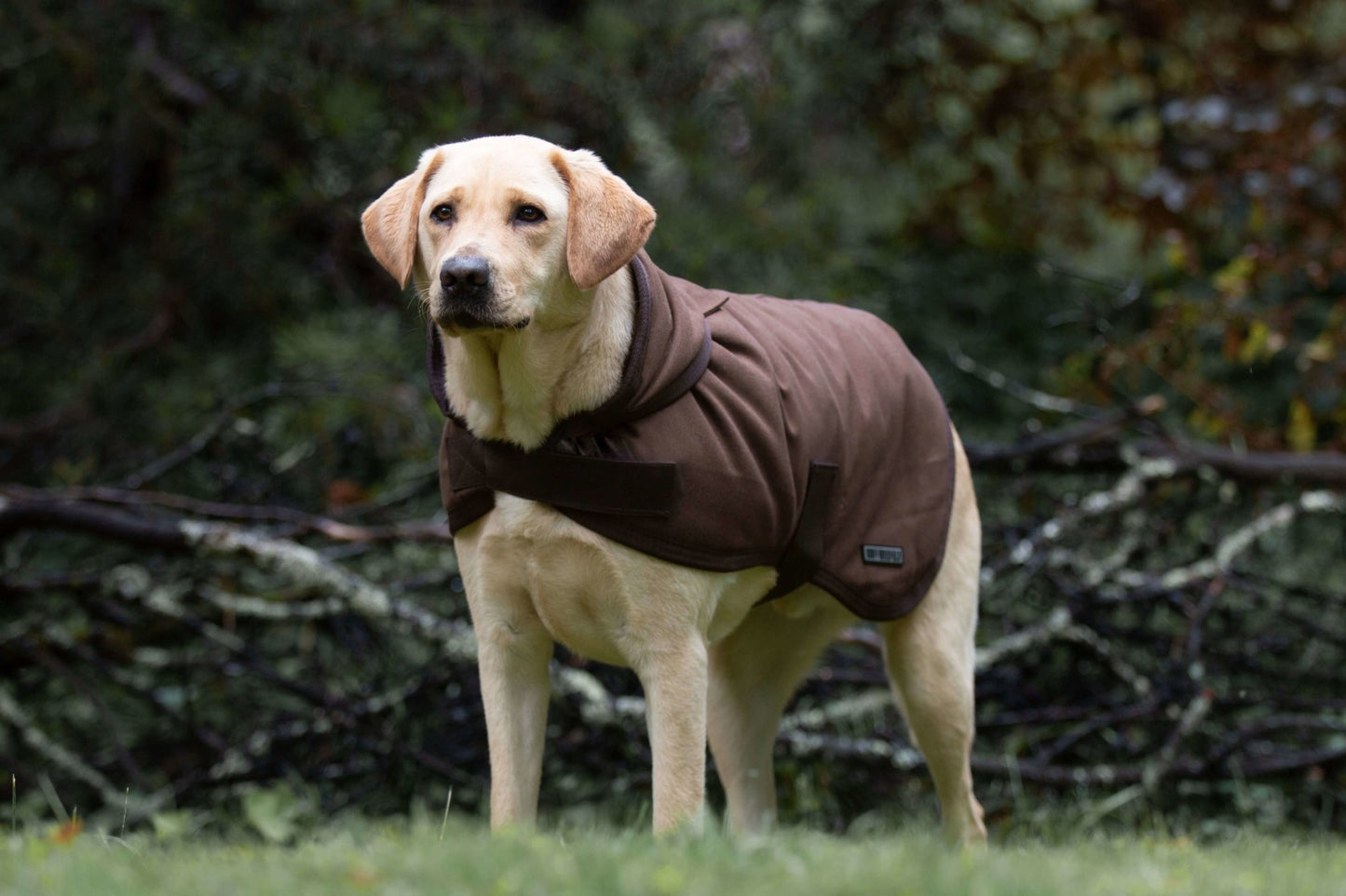 Ruff n Rugged Canvas Coat Dog Jumper Brown - PetPost Australia