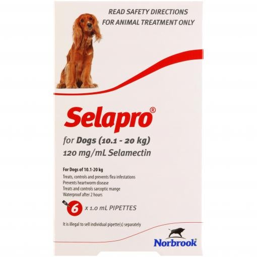 Selapro Flea & Worming Spot On Treatment 10.1-20kg Dog - PetPost Australia