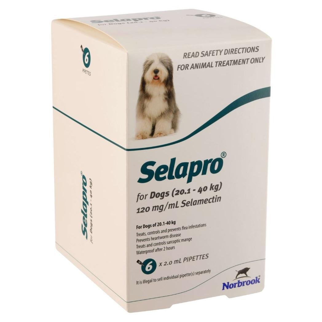 Selapro Flea & Worming Spot On Treatment 20.1-40kg Dog - PetPost Australia