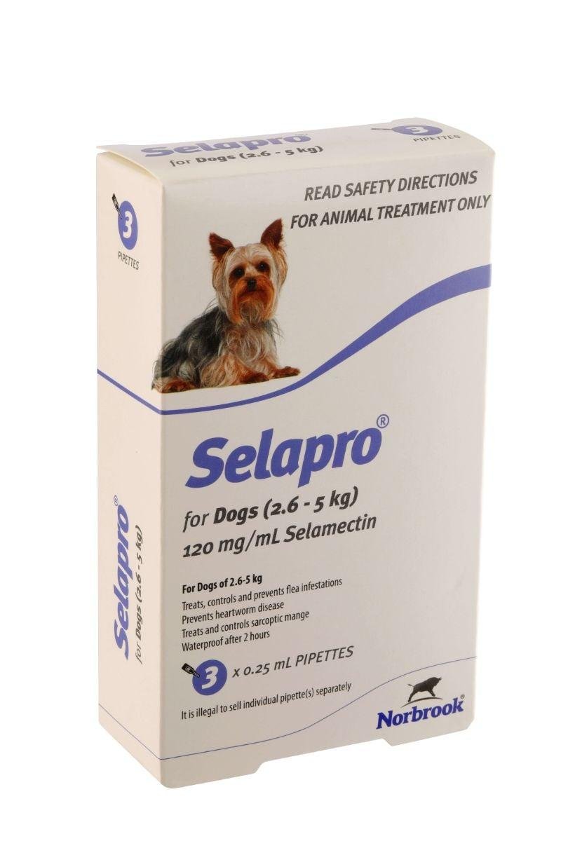 Selapro Flea & Worming Spot On Treatment 2.6-5kg Dog - PetPost Australia