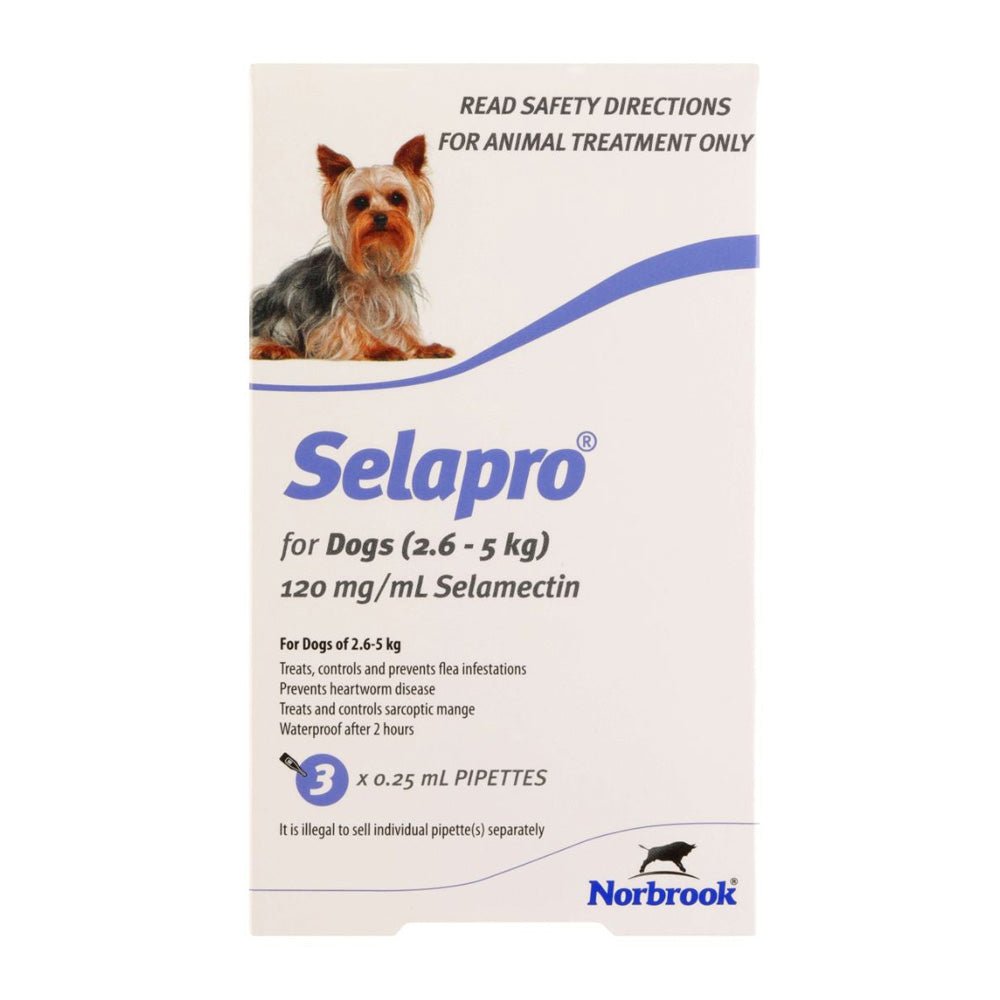 Selapro Flea & Worming Spot On Treatment 2.6-5kg Dog - PetPost Australia