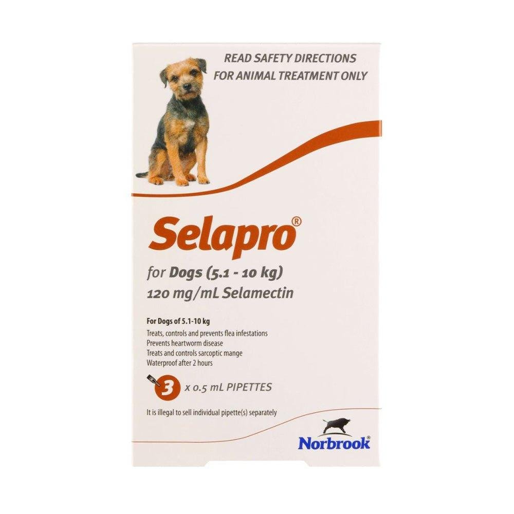 Selapro Flea & Worming Spot On Treatment 5.1-10kg Dog - PetPost Australia